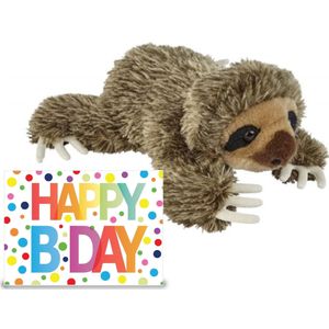 Verjaardag cadeau luiaard 25 cm met XL Happy Birthday wenskaart