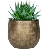 Plantenpot/Bloempot In Een Strakke Modern Design Look Metal Goud Dia 22 cm en Hoogte 20 cm