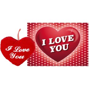 Pluche knuffel kussen rood I Love You 22 cm met Love/Hartjes wenskaart