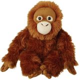 Pluche Orang Utan Aap Knuffel van 22 cm - Dieren Speelgoed Knuffels Cadeau - Apen