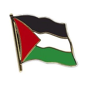 Pin Vlag Palestina 20 mm