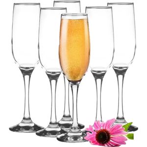 Glasmark Champagneglazen - 6x - Rocroi - 200 ml - glas - flutes