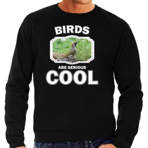 Dieren groene specht sweater zwart heren - birds are cool trui