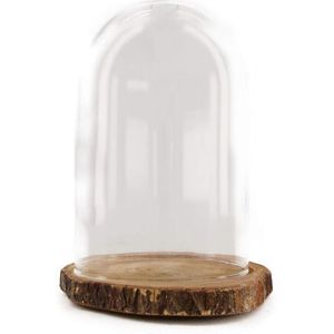 Dijk Natural Collections stolp - glas - houten bruin boomschijf plateau - D18 x H26 cm