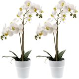 Set van 2x stuks witte orchidee Orchidaceae kunstplanten in kunststof pot 65 cm