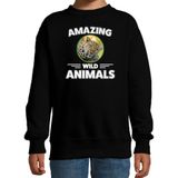 Sweater jachtluipaarden amazing wild animals / dieren trui zwart voor kinderen