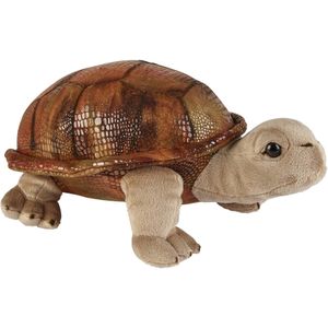 Pluche Knuffel Dieren Land Schildpad van 32 cm - Speelgoed Schildpadden Knuffels