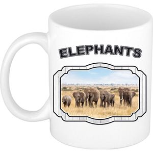 Dieren liefhebber olifant mok 300 ml - kerramiek - kudde olifanten - cadeau beker / mok olifanten liefhebber