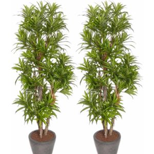 2x Groene dracaena reflexa kunstplant 120 cm voor binnen - kunstplanten/nepplanten/binnenplanten