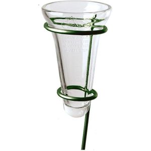 1x Regenmeter/Neerslagmeter Glas met Verzinkte Grondpen Groen 69 cm - Tuinartikelen