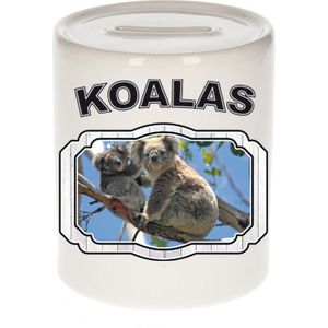 Dieren koala beer spaarpot - koalas/ koalaberen spaarpotten kinderen 9 cm