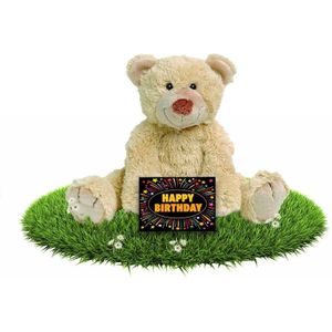 Verjaardag knuffelbeer Boogy 35 cm met gratis verjaardagskaart