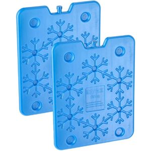 Plat groot koelelement - 2x - blauw - kunststof - 800 ml - 25 x 32 cm