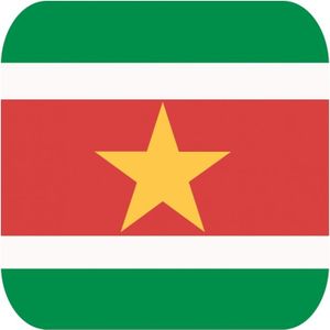 30x Bierviltjes Surinaamse vlag vierkant