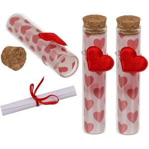 Pakket van 6x stuks valentijn hartjes cadeau hartjes flesjes van glas met boodschap 11 cm