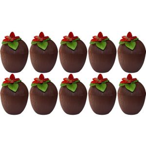 10x Kokosnoot drinkbekers Hawaii 12 x 10 cm 250 ml