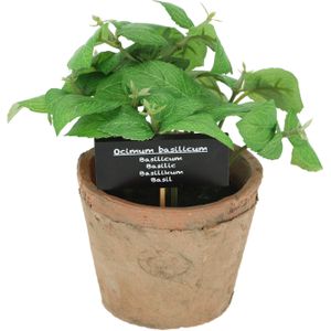 Kunstplant/kruiden basilicum - in oude terracotta pot - 18 cm - kruiden