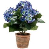 2x Kunstplant Hortensia blauw oude ronde terracotta pot 37 cm