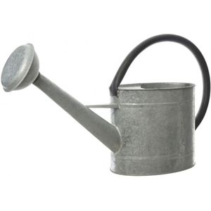 Grijze Tuinbewatering/Decoratie Gieters van Zink 5 Liter - Zinken Gieters