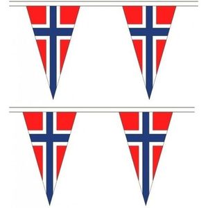 2x Noorwegen landen punt vlaggetjes 5 meter
