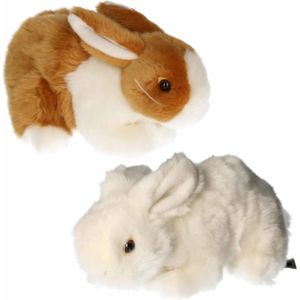 Setje van 2x stuks pluche knuffel konijnen van 20 cm - Dieren knuffels