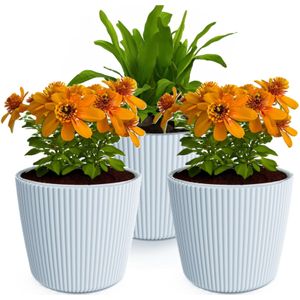 Plantenpot/bloempot Buckingham - 3x - buiten/binnen - kunststof - lichtgrijs - D14 x H13 cm