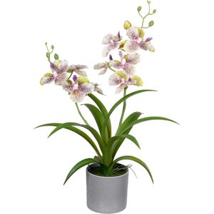 Louis Maes Orchidee bloemen kunstplant in bloempot - creme/lila bloemen - H38 cm - Kamer/kantoor/badkamer