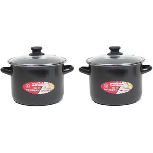 Set van 2x stuks rvs kookpan/pan met glazen deksel 20 cm 3 liter