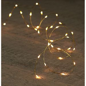 Draadverlichting - goud- 10 led lampjes - warm wit - batterij - 100 cm