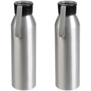 2x Stuks aluminium waterfles/drinkfles zilver met grijze kunststof schroefdop 650 ml