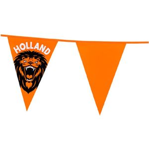 Vlaggenlijn - oranje met leeuw - 6 meter - 15 vlaggen - kunststof