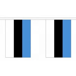 Luxe Estland vlaggenlijn 9 m