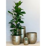 Plantenpot - keramiek - glans goud - patroon - 24x22cm