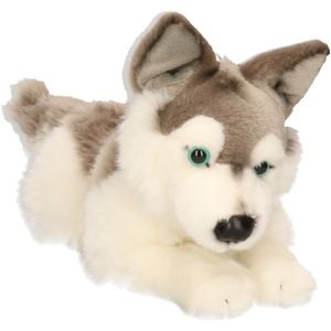 Husky hond knuffeldier 32 cm speelgoed online kopen