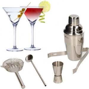 Set van 4x Martini cocktailglazen met complete 5-delige cocktailshaker set RVS