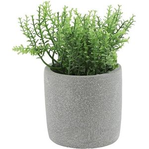 Kunstplant/kruiden rozemarijn - Countryfield - in grijs cement potje - 19 cm - kruiden