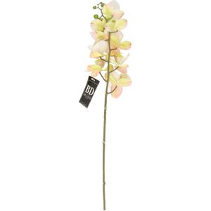 Kunstbloem Orchidee Bora - wit - 77 cm - losse steel - kunst zijdebloem - Phalaenopsis