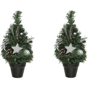 2x stuks mini kunst kerstbomen/kunstbomen met zilveren versiering 30 cm