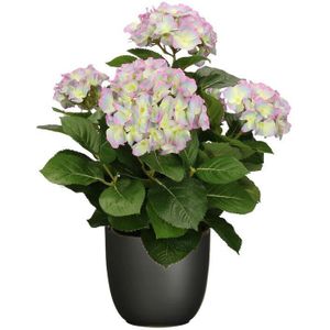 Hortensia kunstplant/kunstbloemen 45 cm - paars/groen - in pot zwart mat