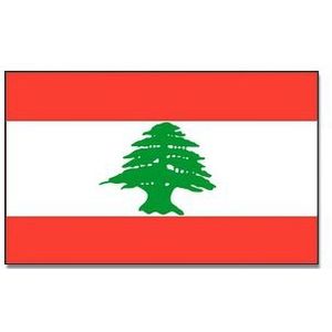 Vlag Libanon 90 x 150 cm feestartikelen