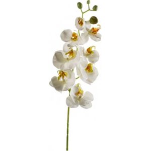 Kunstbloem Orchidee - 68 cm - wit - losse tak - kunst zijdebloem - Phalaenopsis