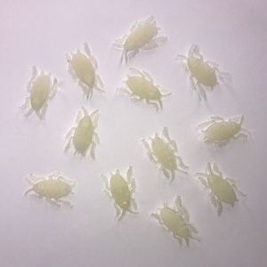 Kakkerlakken glow in the dark 36x stuks