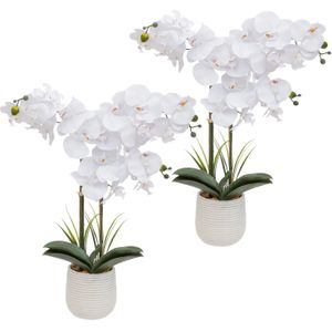 Orchidee bloemen kunstplant in sierlijke witte bloempot - 2x - witte bloemen - H60 cm