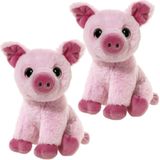 Set van 2x stuks roze pluche varken knuffeltjes van 14 cm - speelgoed varkens