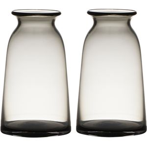 Set van 2x stuks transparante home-basics grijze glazen vaas/vazen 23.5 x 12.5 cm