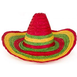 Mexicaanse Sombrero hoed voor heren - carnaval/verkleed accessoires - multi kleuren