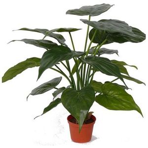 Kunstplanten alocasia olifantsoor groen 51 cm