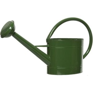 Decoris Gieter - voor binnen/buiten - groen - zink - 5 liter - voor binnen/buiten