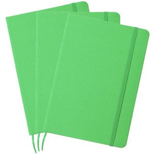 Set van 6x stuks luxe schriftjes/notitieboekjes groen met elastiek A5 formaat