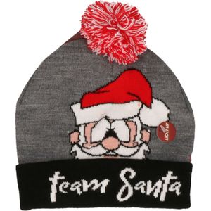 Foute kerstmutsen/mutsen/wintermutsen Team Santa met verlichting